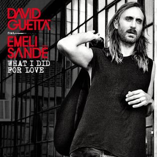 David Guetta » What I Did For Love Lyrics