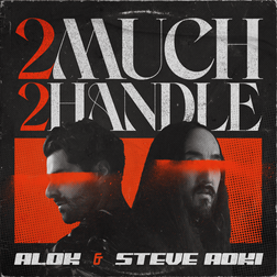 Alok » 2 Much 2 Handle Lyrics