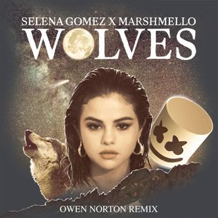 Selena Gomez » Wolves (Owen Norton Remix) Lyrics