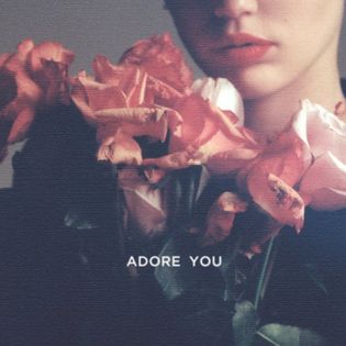 Miley Cyrus » Adore You Lyrics