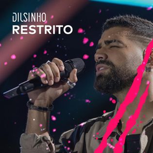 Dilsinho » Restrito Lyrics