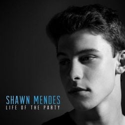 Shawn Mendes » Life of the Party Lyrics