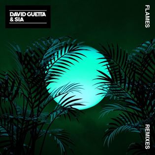 David Guetta » Flames (Robin Schulz Remix) Lyrics