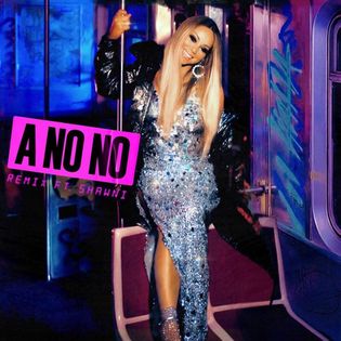 Mariah Carey » A No No (Shawni Remix) Lyrics