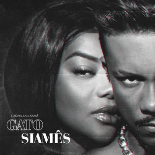 Ludmilla » Gato Siamês Lyrics