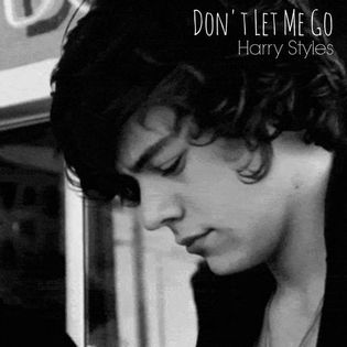 Harry Styles » Don’t Let Me Go Lyrics