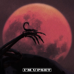 Drake » I’m Upset Lyrics