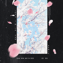 Shawn Mendes » Lost In Japan (Remix) Lyrics