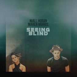 Niall Horan » Seeing Blind Lyrics