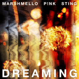 P nk » Dreaming Lyrics