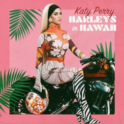 Katy Perry » Harleys In Hawaii Lyrics