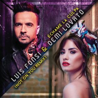 Demi Lovato » Échame la Culpa (Not on You Remix) Lyrics