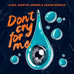 Alok » Don’t Cry For Me Lyrics