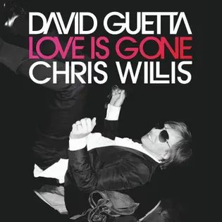 David Guetta » Love Is Gone Lyrics