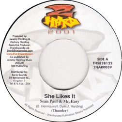 Sean Paul » She Likes It Lyrics