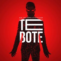 Alok » Te Boté Lyrics