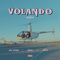 Bad Bunny » Volando (Remix) Lyrics