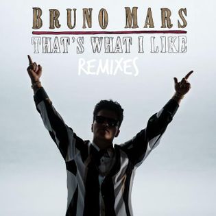 Bruno Mars » That’s What I Like (Alan Walker Remix) Lyrics