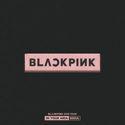 BLACKPINK » PLAYING WITH FIRE (Live) Lyrics