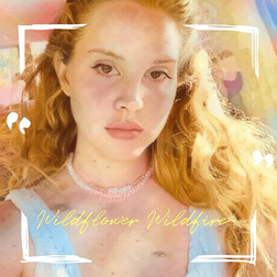 Lana Del Rey » Wildflower Wildfire Lyrics