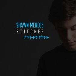 Shawn Mendes » Stitches Lyrics