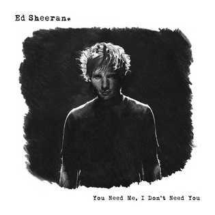 Ed Sheeran » You Need Me, I Don’t Need You (Remix) Lyrics